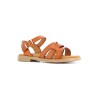 CARLAFU 28 37